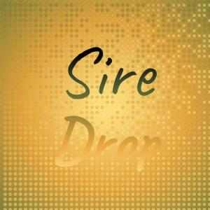 Listen to Groovy Everyday song with lyrics from Lata Semeh