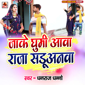 收听Dhanraj Dhanno的Jake Ghumi Awa Raja Saduanawa歌词歌曲
