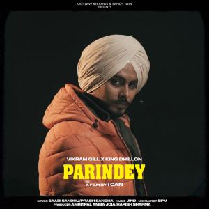 Listen to Parindey song with lyrics from Vikram Gill