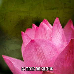 Album 64 Tracks For Sleeping from Serenity Spa Music Relaxation