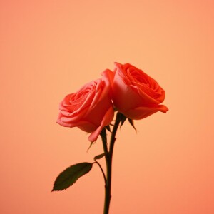 收聽Hariom Kumar的Moonli Whispers歌詞歌曲