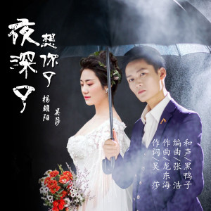 收聽楊耀陽的夜深了想你了 (完整版)歌詞歌曲