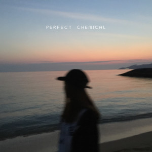 Rude-α的專輯Perfect Chemical (Explicit)