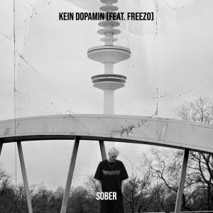 Listen to Kein Dopamin song with lyrics from SOBER