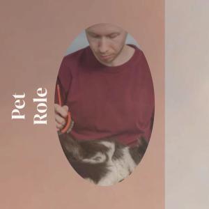 Dengarkan lagu Insignificant Creep nyanyian Lorae Micky dengan lirik