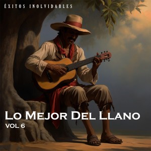 收聽Tirso Delgado的Orgulloso De Mi Raza歌詞歌曲