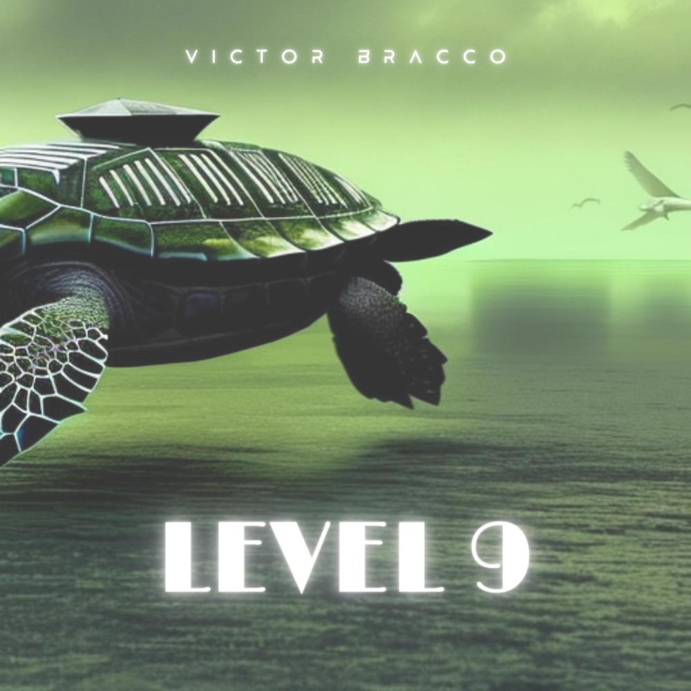 Level 9