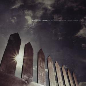 ดาวน์โหลดและฟังเพลง Does That Make Sense [Demo] (Demo) พร้อมเนื้อเพลงจาก The Jealous Sound