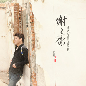 Listen to 谢谢你那么优秀还爱我 song with lyrics from 张振宇