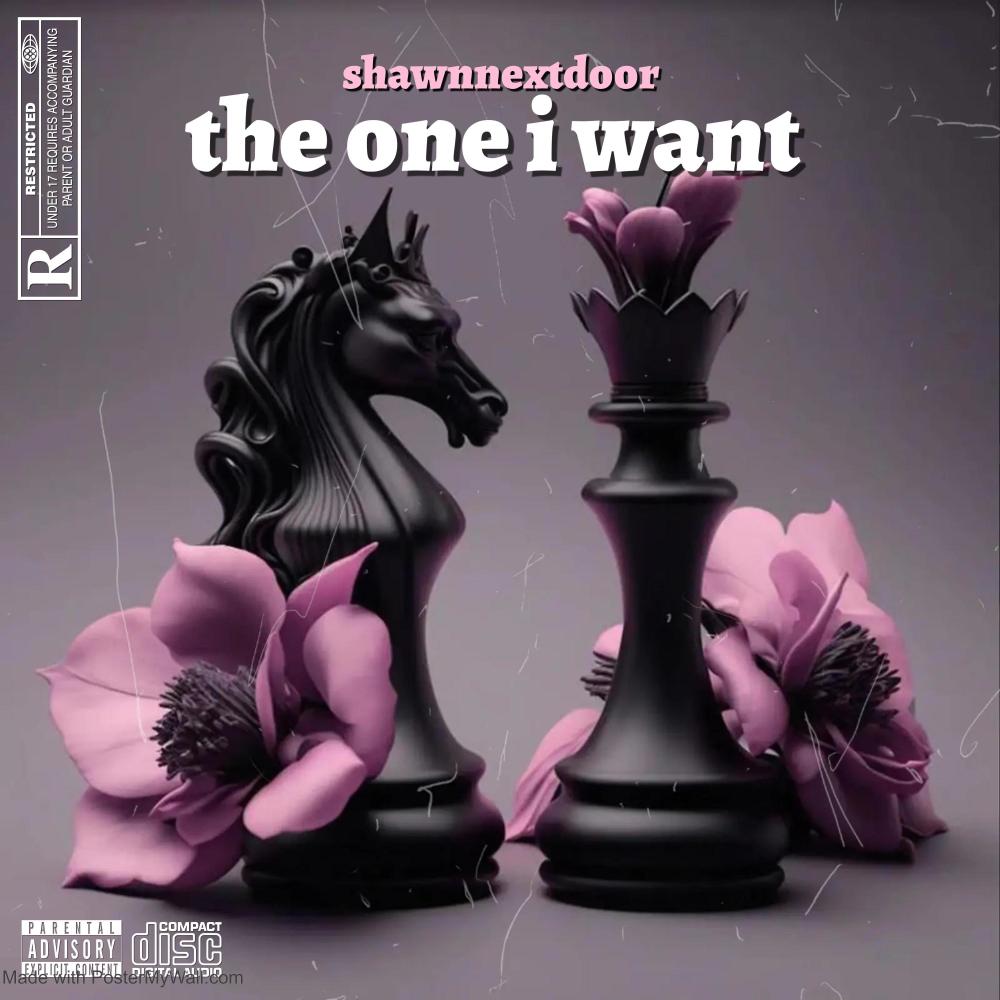 the one i want (Explicit)
