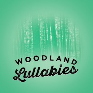 Nature Sounds Sleep的專輯Woodland Lullabies