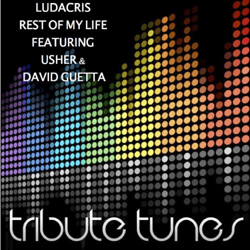 Rest of My Life (Tribute to Ludacris Feat. Usher & David Guetta)