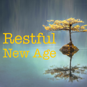 Dengarkan lagu Perfect Time nyanyian Wildlife dengan lirik