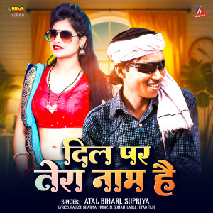อัลบัม Dil Par Tera Naam Hai ศิลปิน Atal Bihari