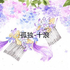 收听十浪的孤独歌词歌曲