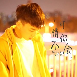 ดาวน์โหลดและฟังเพลง 可惜你不会 (伴奏) พร้อมเนื้อเพลงจาก 王震