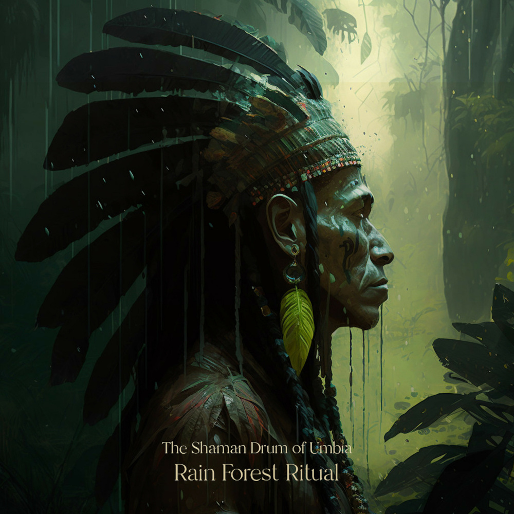 Rain Forest