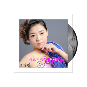 收听王琼瑶的我在草原遇见你歌词歌曲