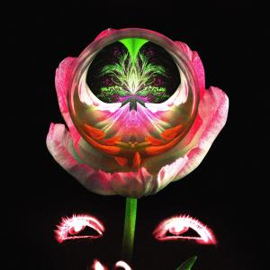 收聽Hunter Powell的Do Not Disturb歌詞歌曲
