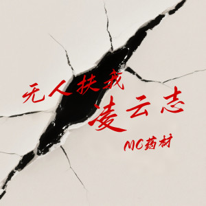 Album 无人扶我凌云志 (他们都看不起我) from MC药材