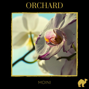Listen to Orchard song with lyrics from Moini