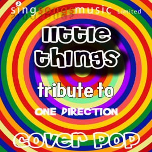 ดาวน์โหลดและฟังเพลง Little Things (Tribute Version) พร้อมเนื้อเพลงจาก Cover Pop