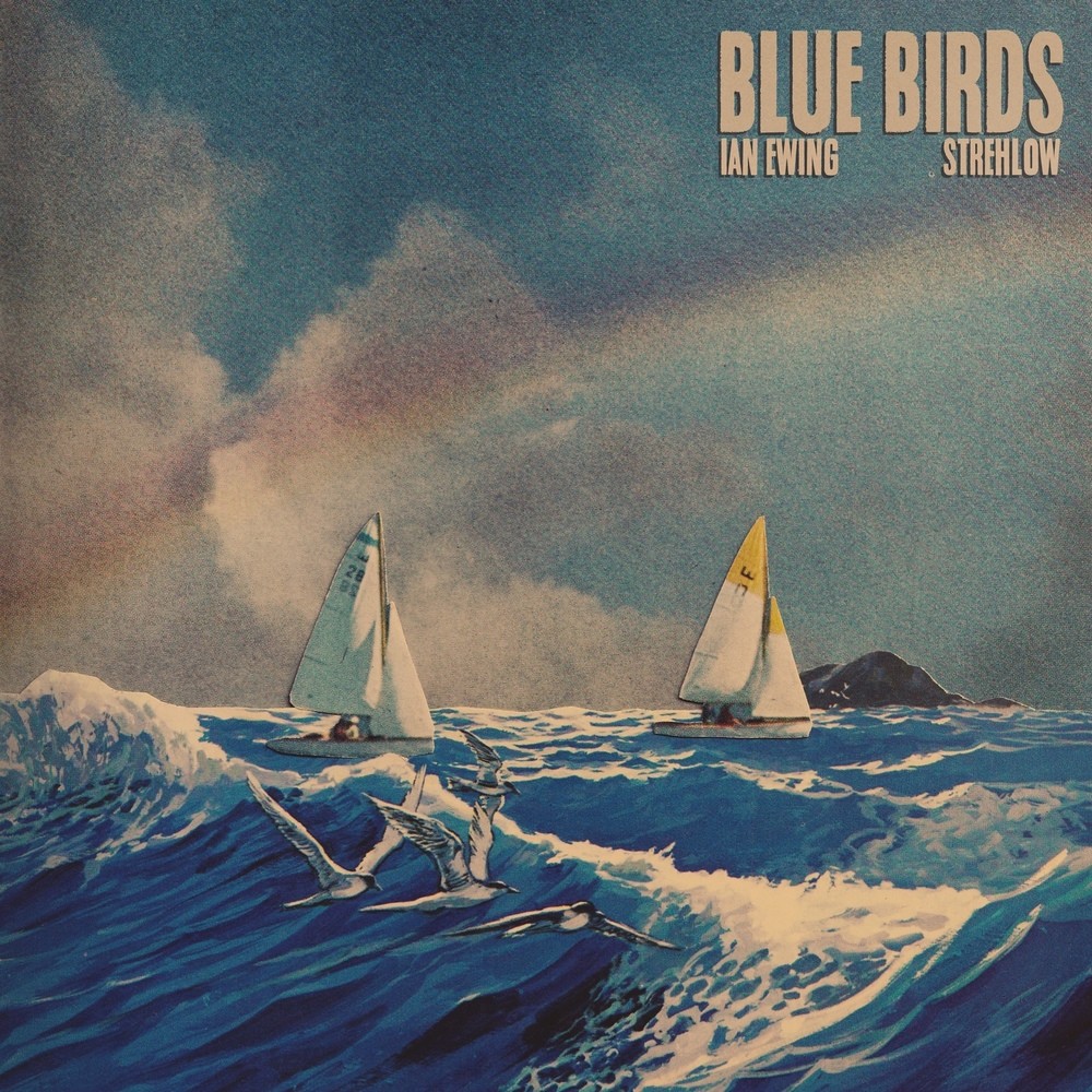 Blue Birds