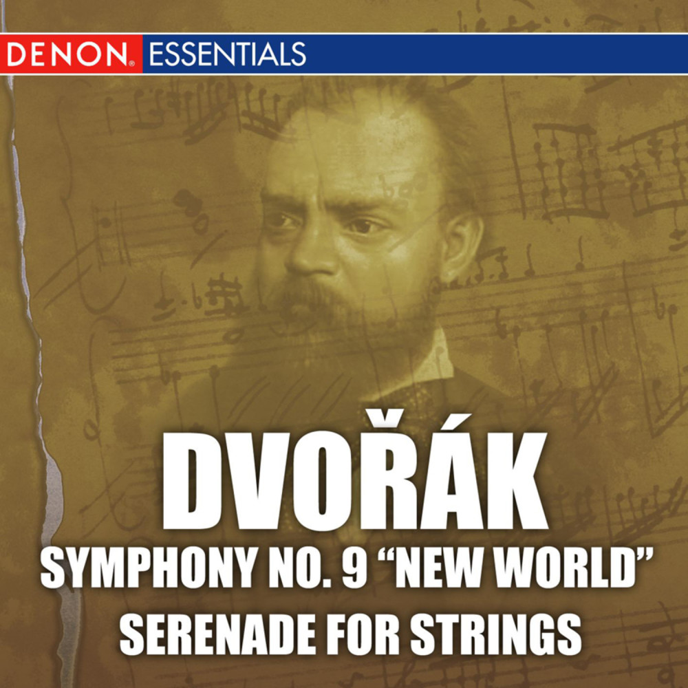 Serenade for String Orchestra in E Major, Op. 22. IV: Larghetto