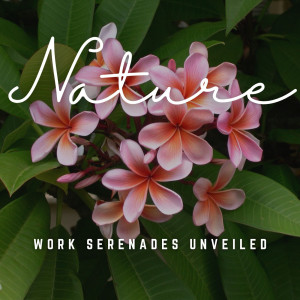Work Serenades Unveiled: Melodic Insights