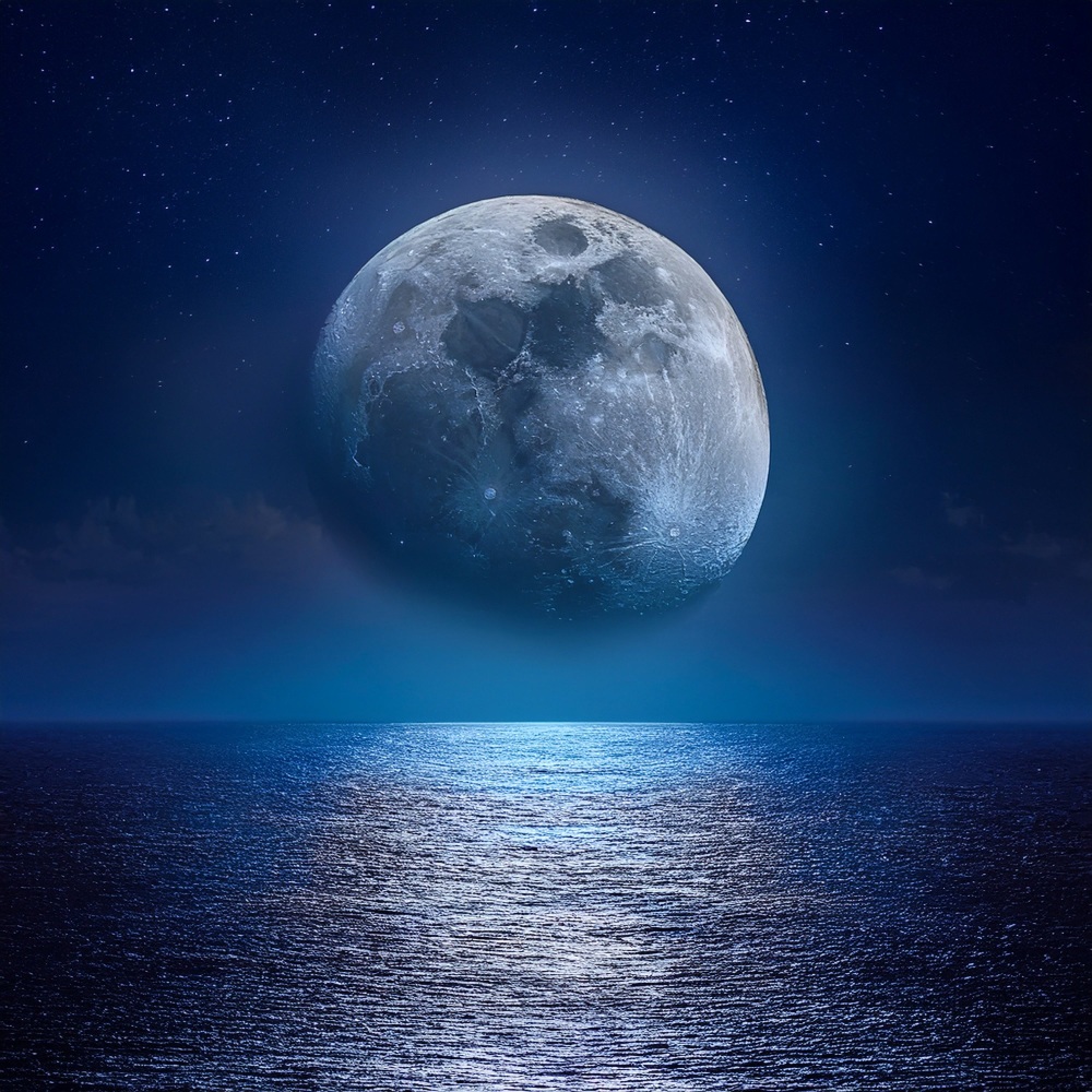 Los Ritmos Susurran Sueños Nocturnos