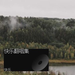 Album 你不会再遇到我这样的人 from 快乐