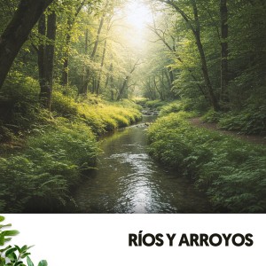 Rivers and Streams的專輯Ríos y Arroyos: Melodías acuáticas