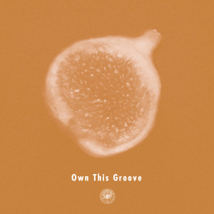 Album Own This Groove (feat. Liyv) from AmPm