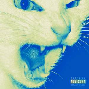 ดาวน์โหลดและฟังเพลง CALL OF DUTY (Explicit) พร้อมเนื้อเพลงจาก Saux