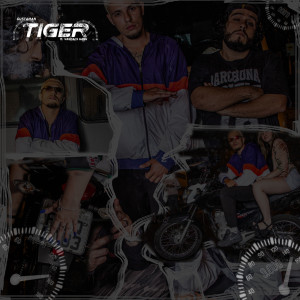 Guztaman的專輯Tiger (Explicit)