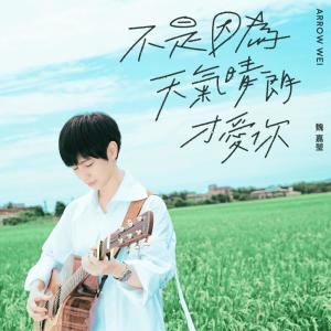 收聽魏嘉瑩的不是因為天氣晴朗才愛你歌詞歌曲