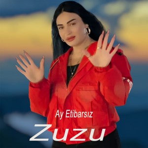 Zu Zu的專輯Ay Etibarsız