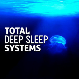 收聽Deep Sleep Systems的Divine Intervention歌詞歌曲