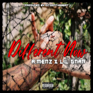 Album Different Now (Explicit) from A.Menz