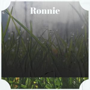 Album Ronnie oleh Various