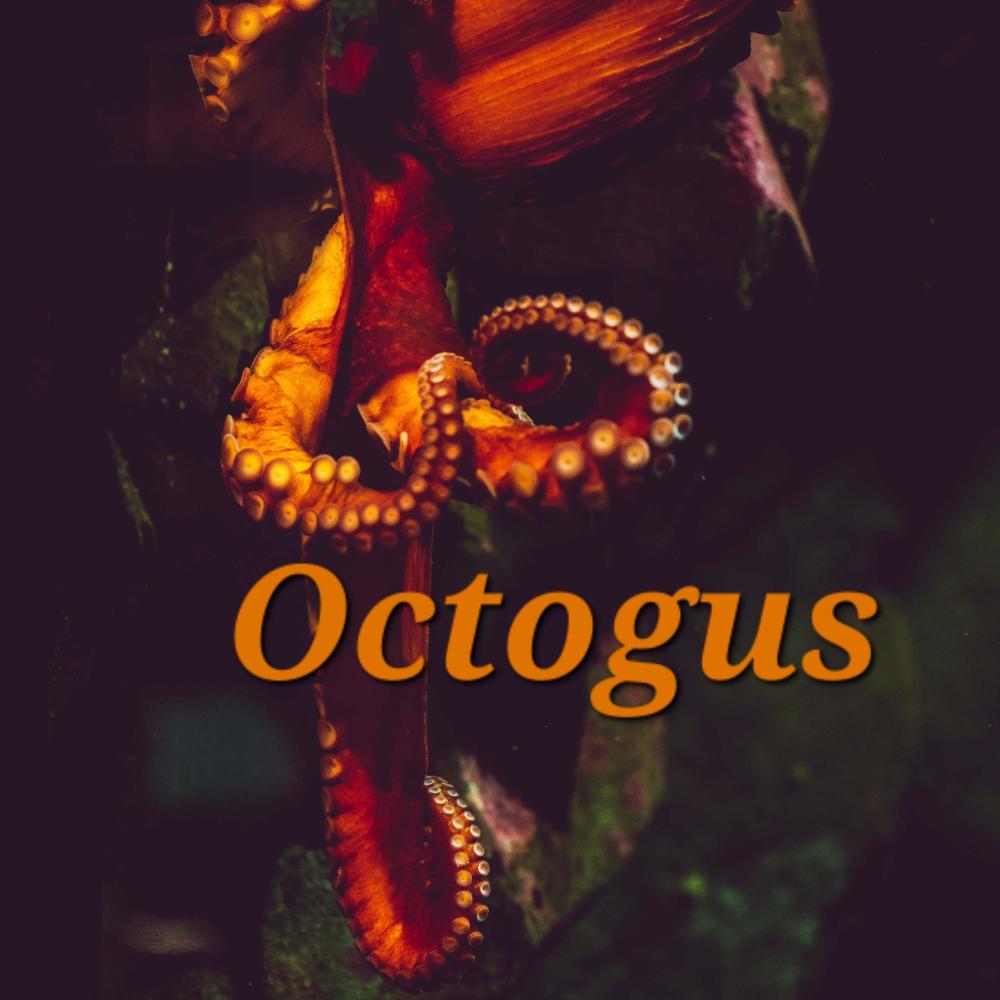 Octogus (feat. GUSTO)