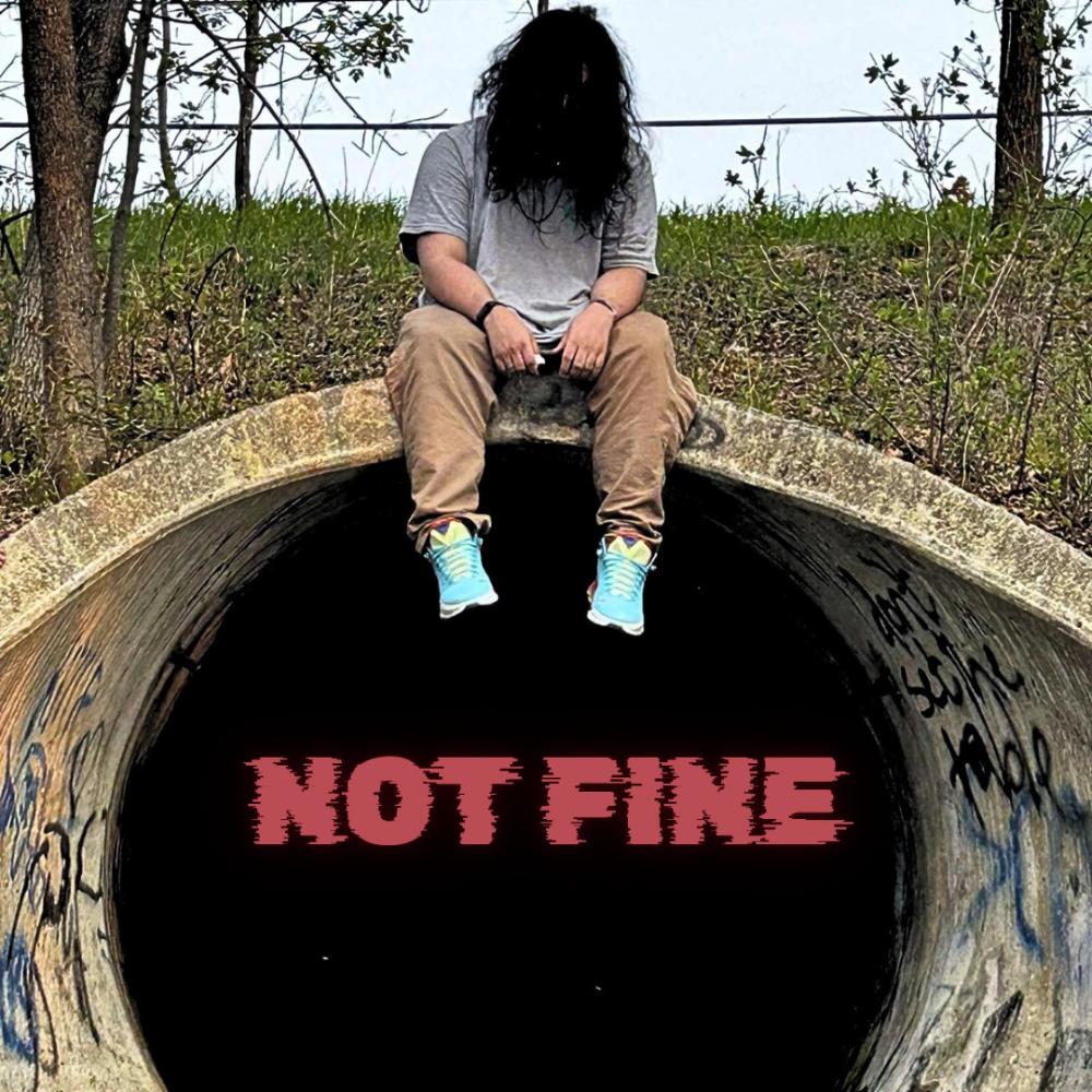 Not Fine (feat. Prod. KNKR) (Explicit)