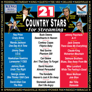 Various Artists的專輯21 Country Stars For Streaming