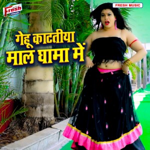 Listen to Gehu Katatiya Maal Ghama Me song with lyrics from Kamlesh Raj