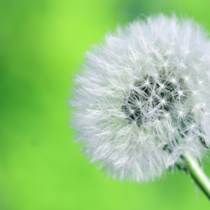 收聽Deep Sleep的Moonlight歌詞歌曲