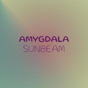 Listen to Paste Tentage song with lyrics from Luen Syra