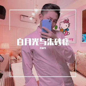 收聽龍涵雪的白月光與硃砂痣（日語版合集） (日語版合集)歌詞歌曲