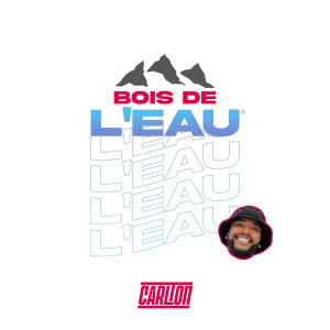 Mr Carlton的專輯Bois de l'eau