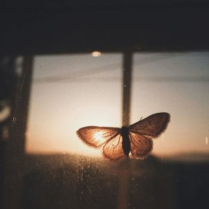 收聽METAHESH的dreams歌詞歌曲