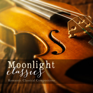 ดาวน์โหลดและฟังเพลง Fading Star พร้อมเนื้อเพลงจาก Will Palmer